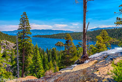 Tahoe Travels