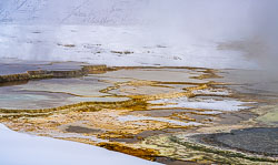 _DSC0751.jpg